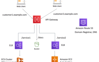 Multi-Tenant Domain and API Gateway Routing Engine. Source: AWS